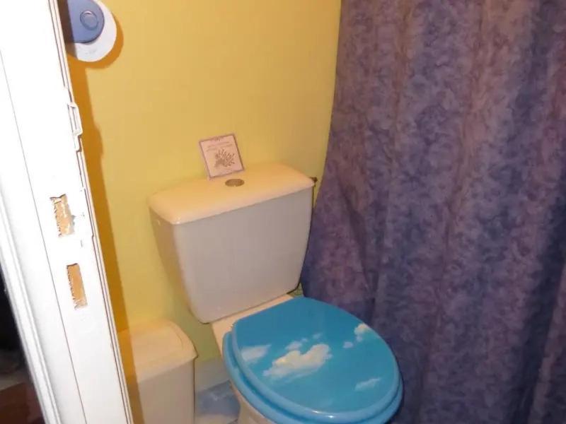 Chambre Chez L'Habitant - Proche Du Centre - Salle D'Eau Et Wc Prives بوردو المظهر الخارجي الصورة
