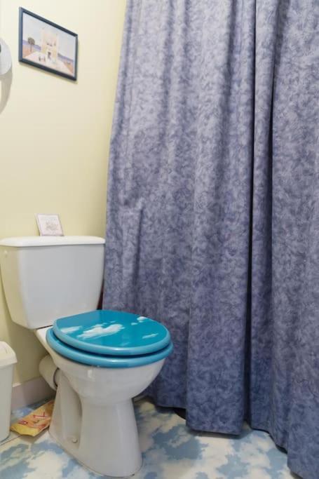 Chambre Chez L'Habitant - Proche Du Centre - Salle D'Eau Et Wc Prives بوردو المظهر الخارجي الصورة